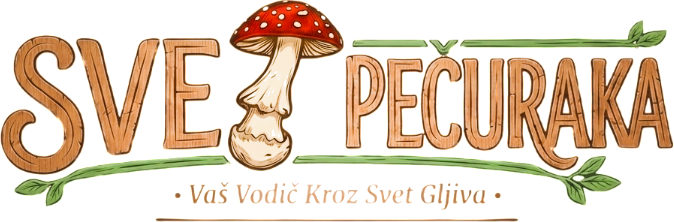 Svet Pečuraka