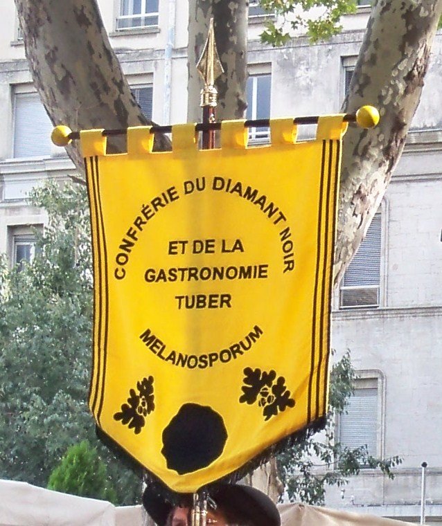 Crni plemeniti tartuf – Tuber melanosporum Vittad. (1831), reprezentativna fotografija