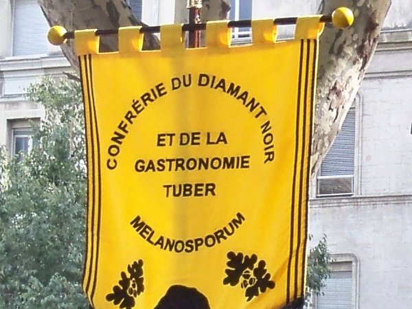 Tuber melanosporum – Crni plemeniti tartuf (Perigord)